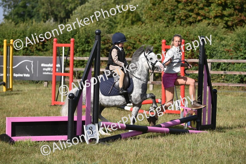20250831-0319 - Class 6 - Minimus Jumping 30cm