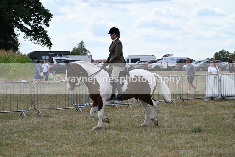 WJ7_4991 - Class 12 Ridden Cob