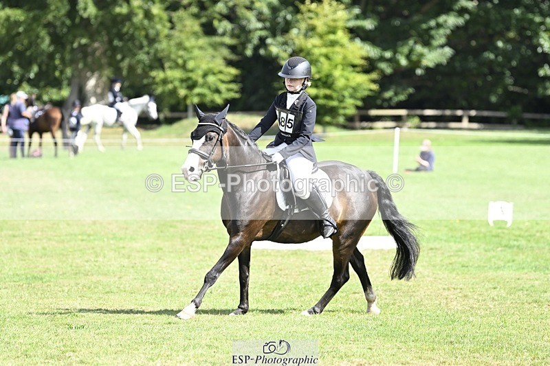 250821A-105416-14608 - DR 10.00 to 11.00