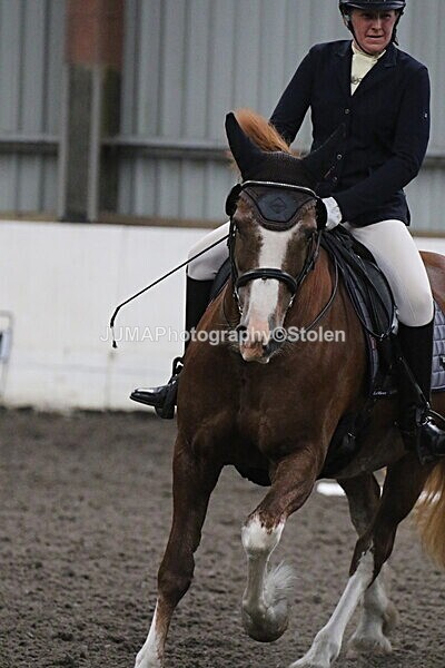 SIAL5656 - CAbin Dressage 5th july 2025