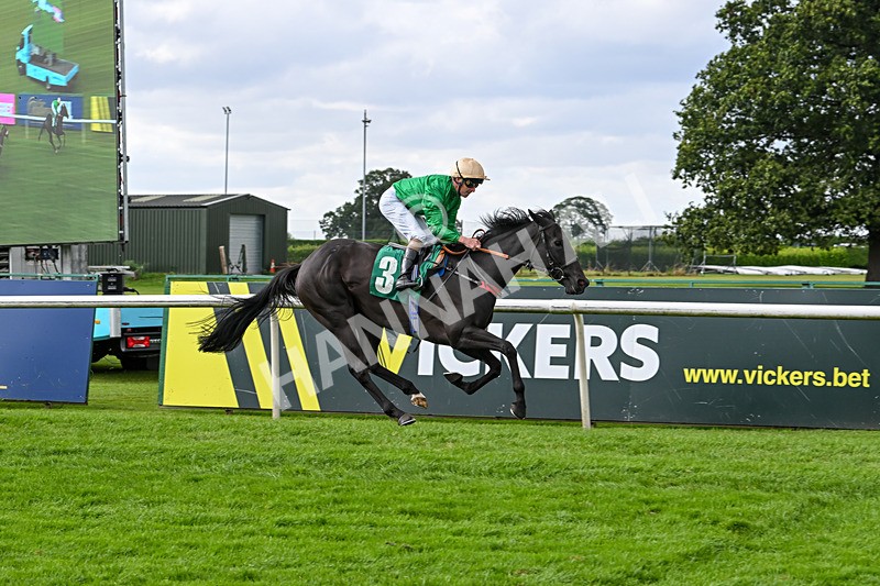 090824-Race 5-Quietness-4778 - Race 5