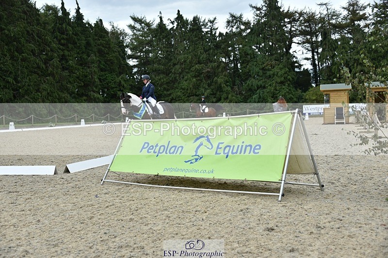 230813-163450-08293 - Elem Bronze Presentations