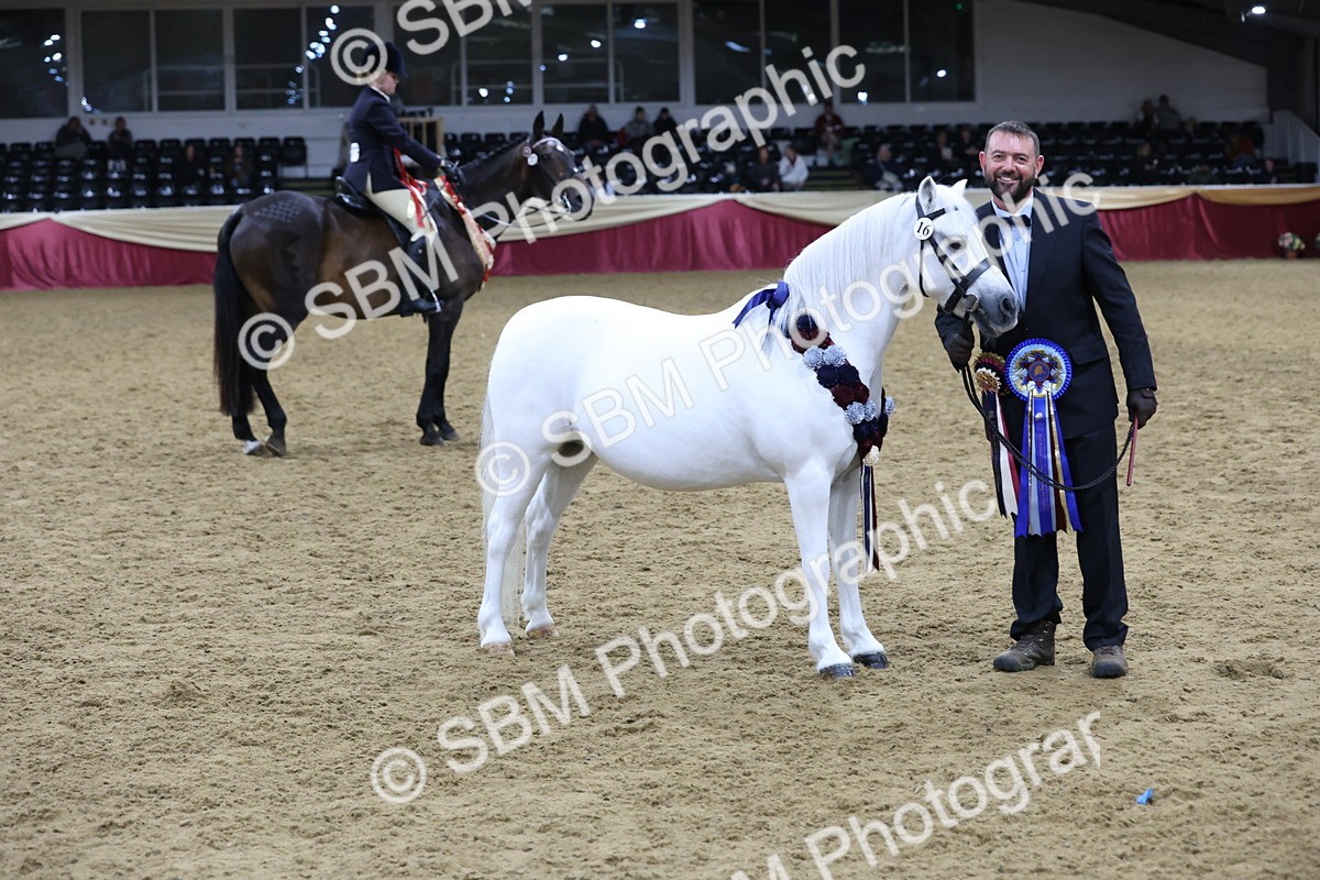 SBM_20391 - Class E - Best Turned Out Champ