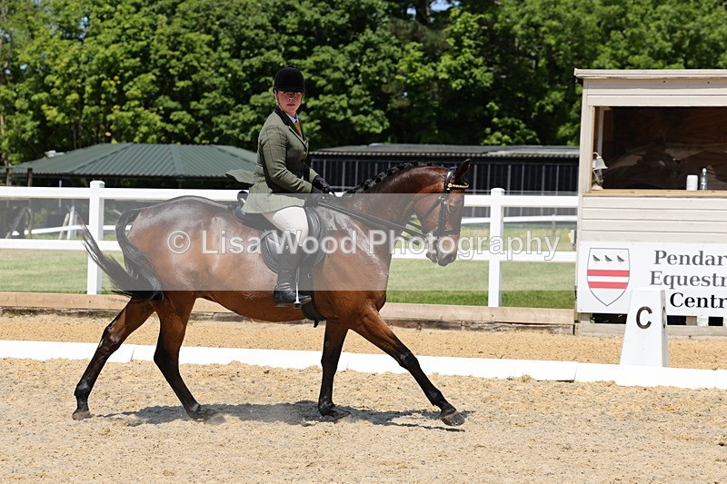 1X9A1865 - Class 12: Ridden Riding Horse/Hack
