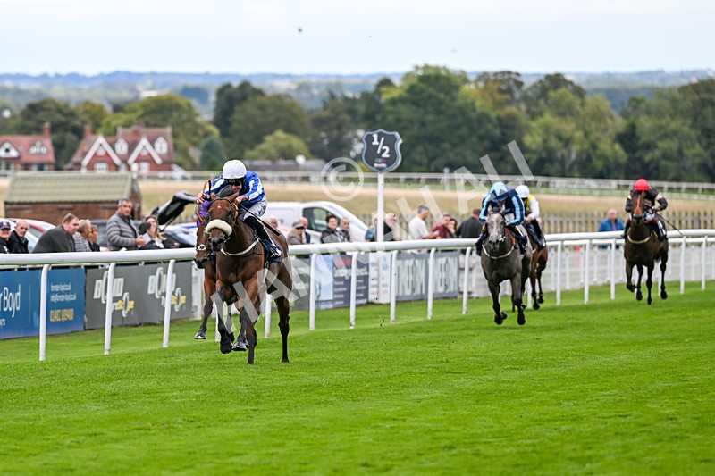 170925-Race 2-Lady Youmzain-4053 - Race 2