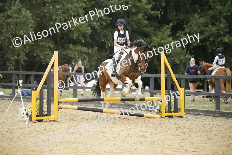 20250622-6220 - 60cm