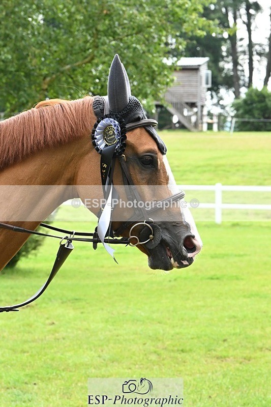 240713-103819-36882 - Cls 146 5 Yr Old Championships