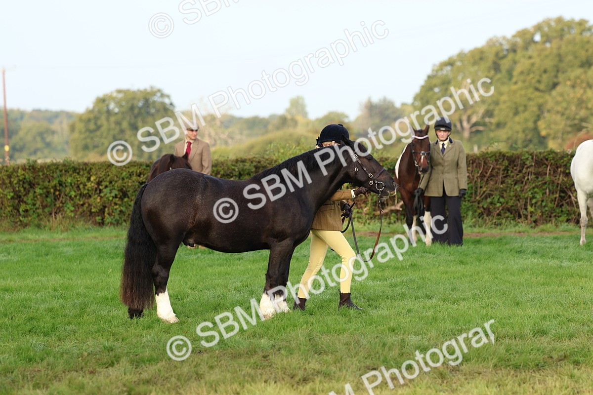 SBM_54868 - S39 - Starters In Hand Showing