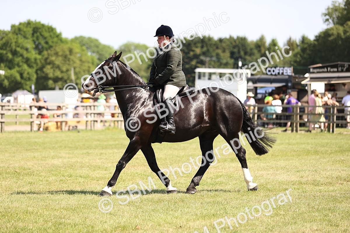 SBM_17910 - Class 81-83 - TSR Ridden Amateur of the Year - Horses