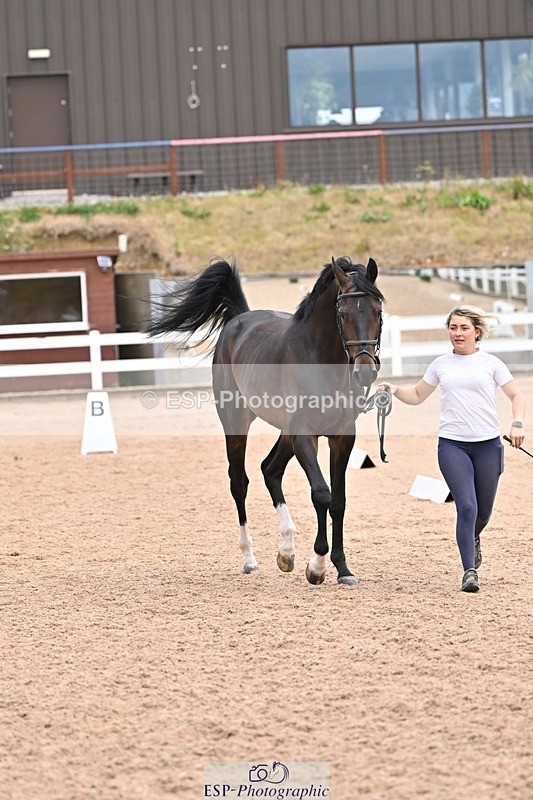 250716-135959-00849 - Trot Up 1.30 to 2.30