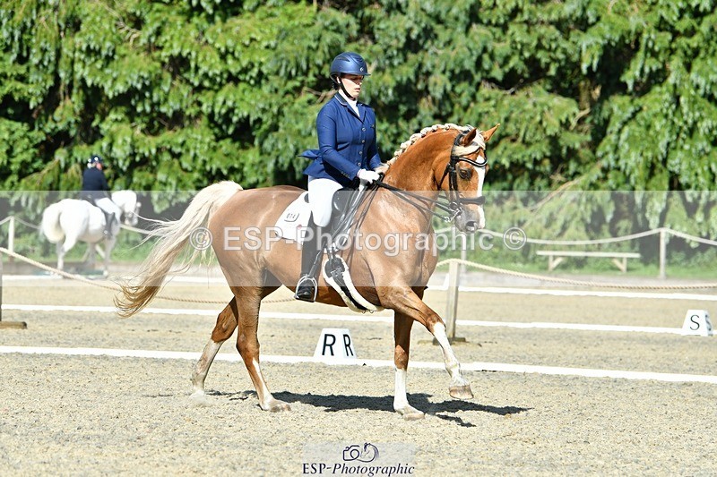 230623-165839-02941 - Cls 9 Advanced Medium 91Q