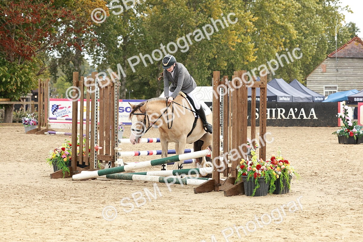SBM_69274 - J13 - Junior Pony 60cm Championship