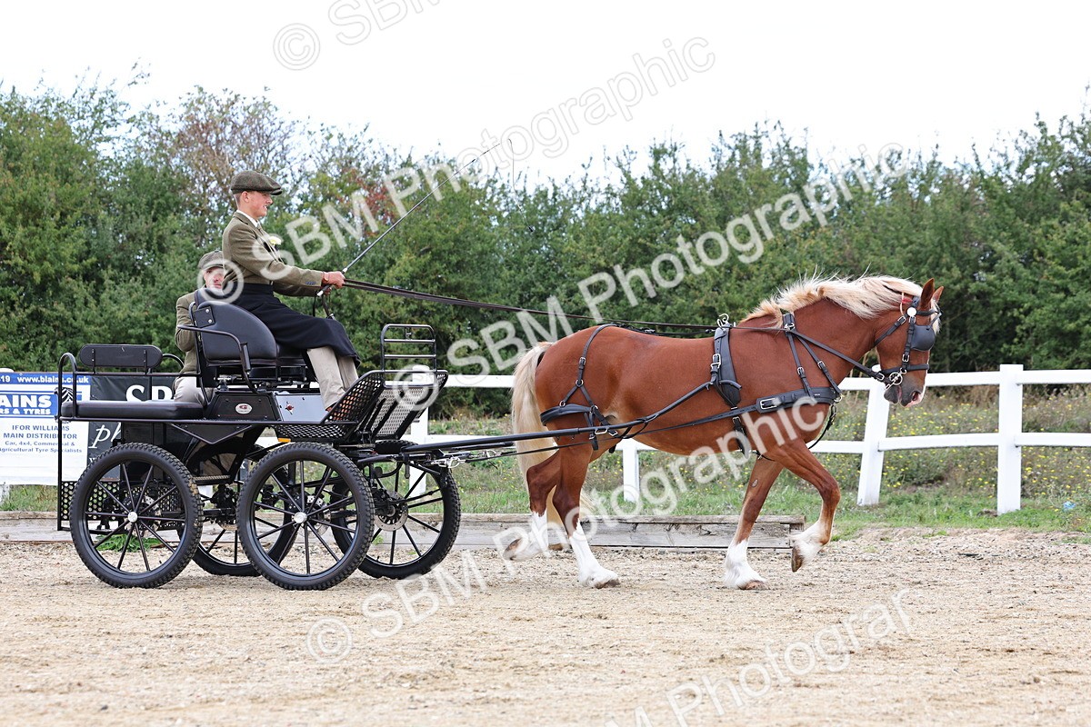 SBM_000371 - Class 4 - Junior Whip