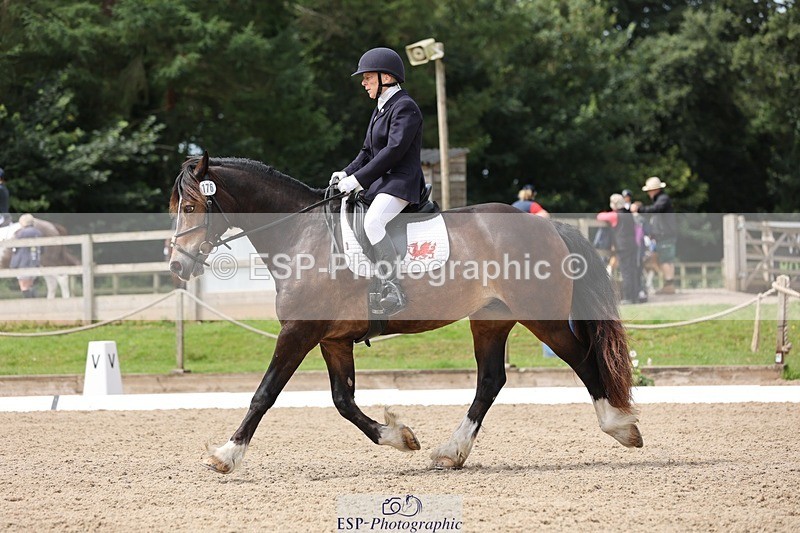 240721-115526-08468 - 176-Amanda_Williams-Llanarth_Westminster