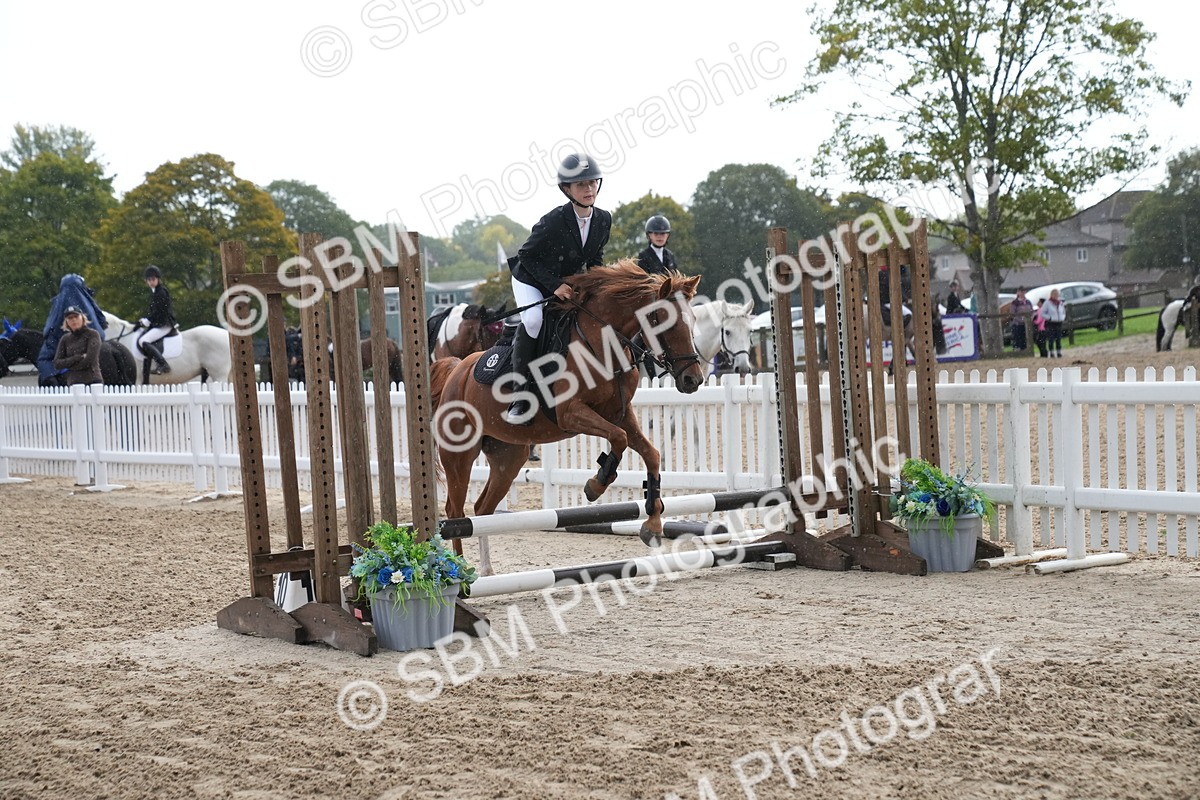 SBM_00075 - J53 - Clear Round 40cm
