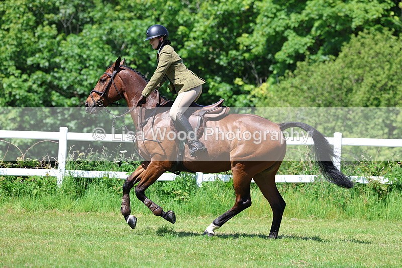 3E7A7101 - Class 30: Novice Working Hunter