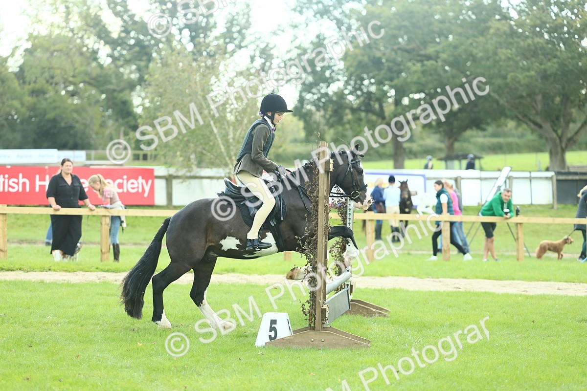 SBM_42020 - S29 - Novice & Newcomers Working Hunter Pony
