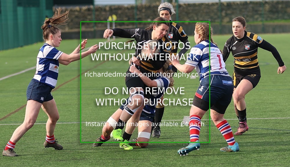 533A8777 - Kendal Wasps (14/2/26)