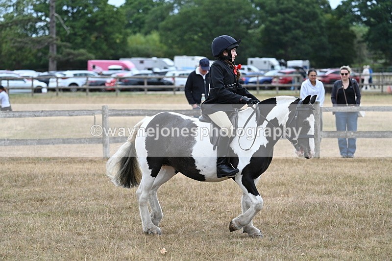 WJ7_7283 - Class 2 Best Rider