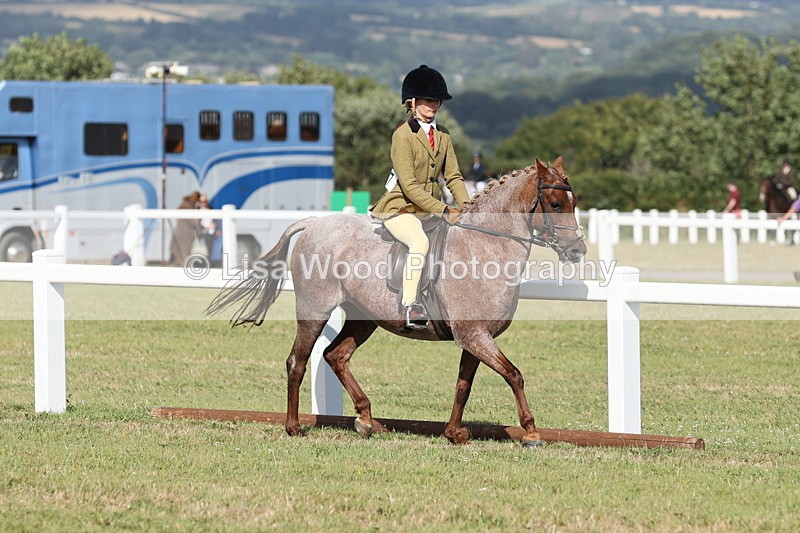 JPP_2854 - Class 20: Working Hunter 70cm