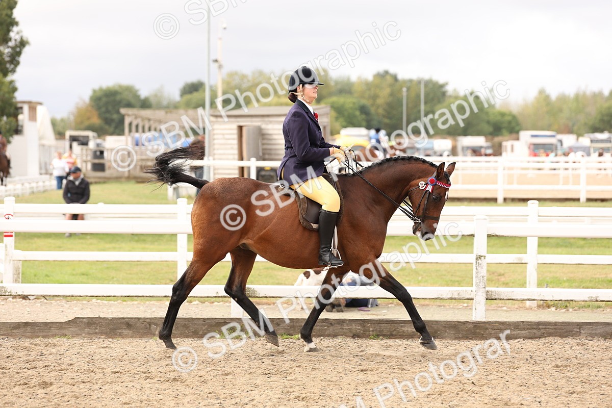SBM_01576 - Class 52 - Ridden Veteran