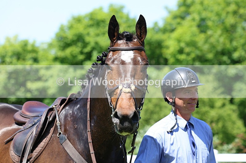 3E7A7373 - Class 30: Novice Working Hunter