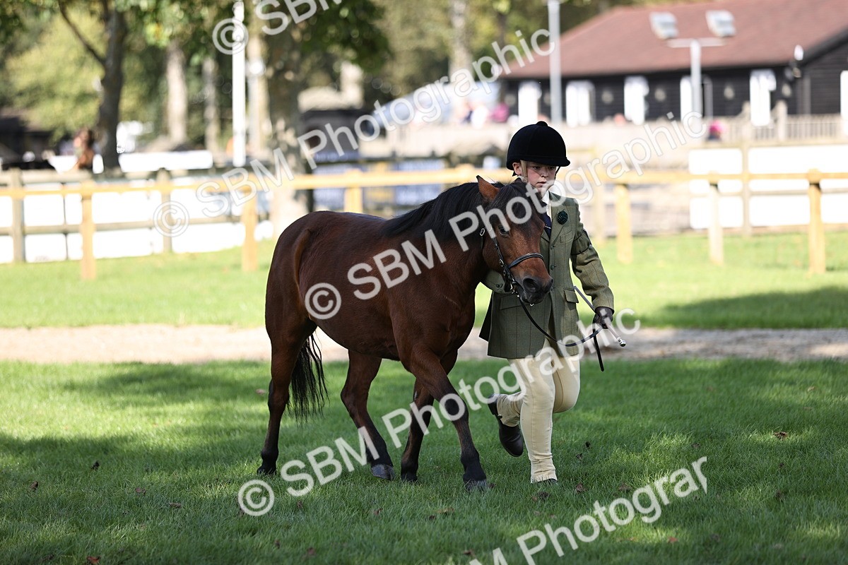 SBM_26210 - S5 - Novice & Newcomers In Hand