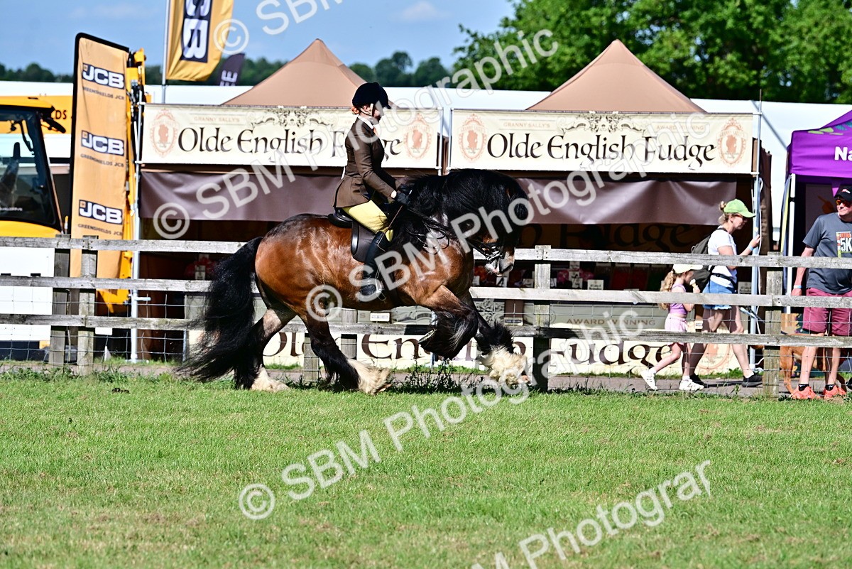 SBM_09364 - Class 63-65 - Traditional Gypsy Cobs In Hand & Ridden