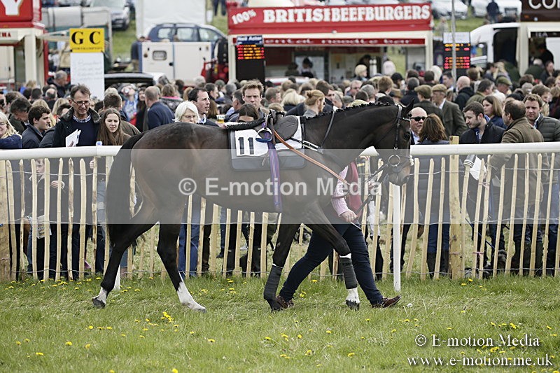 PtP 170417 210 - Old Berks Point-to-Point Lockinge 17/04/17