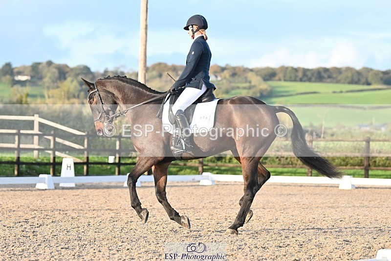 231105-153339-03063 - Cls 4 Novice 24 15.24 to 16.35 break