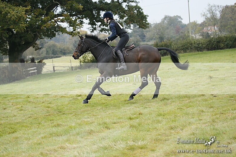 WWHT 181020 WWHT 181020 551 - WWEC Open Novice (0.80m) 18/10/20