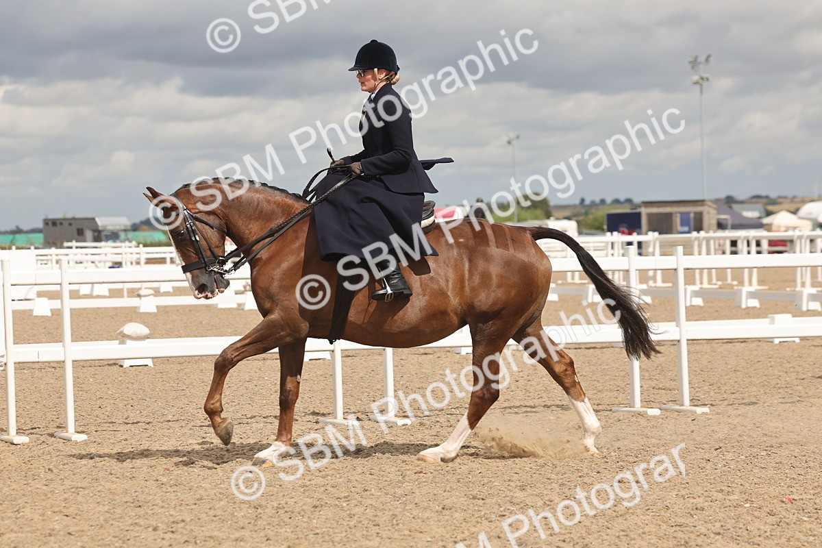 SBM_06360 - Class 22 - SSA - Equitation