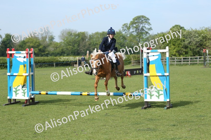 20260426-0241 - Class 13 - Rookie Jumping 50cm