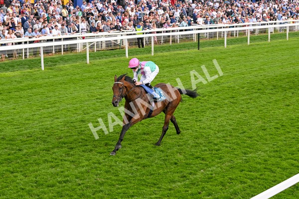 170524-Race 5-Lead Artist-8330 - Race 5 4.15pm  Darley EBF Novice Stakes