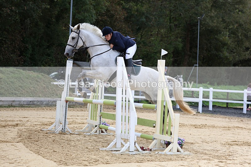 3E7A2028 - Class 4: Senior British Novice/90cm open