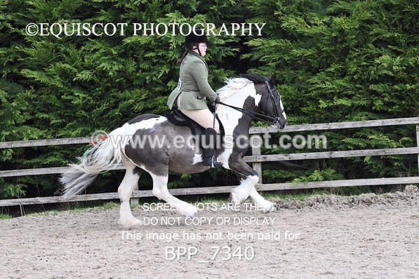 BPP_7340 - RING 1  (RIDDEN HORSES / IN HAND / VETERAN ETC)