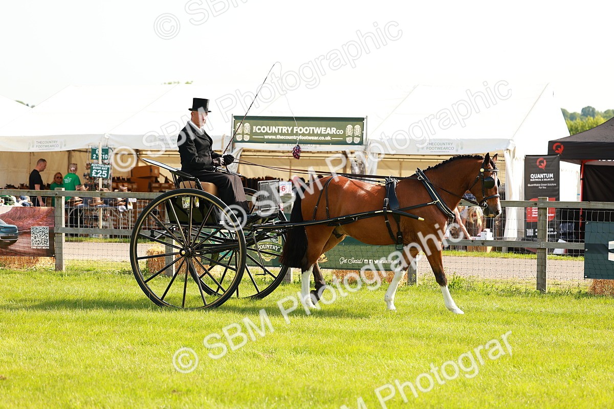 SBM_01147 - Class 2-4 - HOYS Private Driving