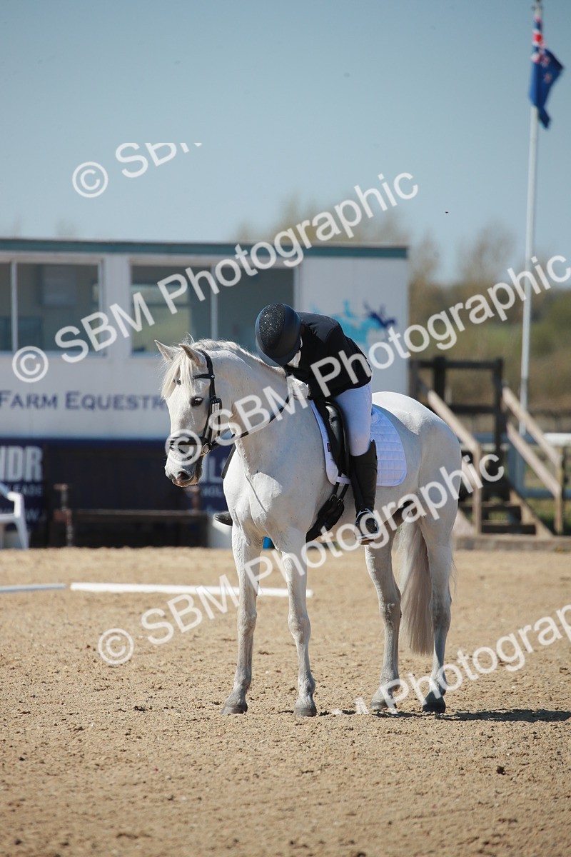 SJ3_0986 - Class 2-5-4-6-7 - Paso Doble-Golega-Sevilla-Lisboa-Novato