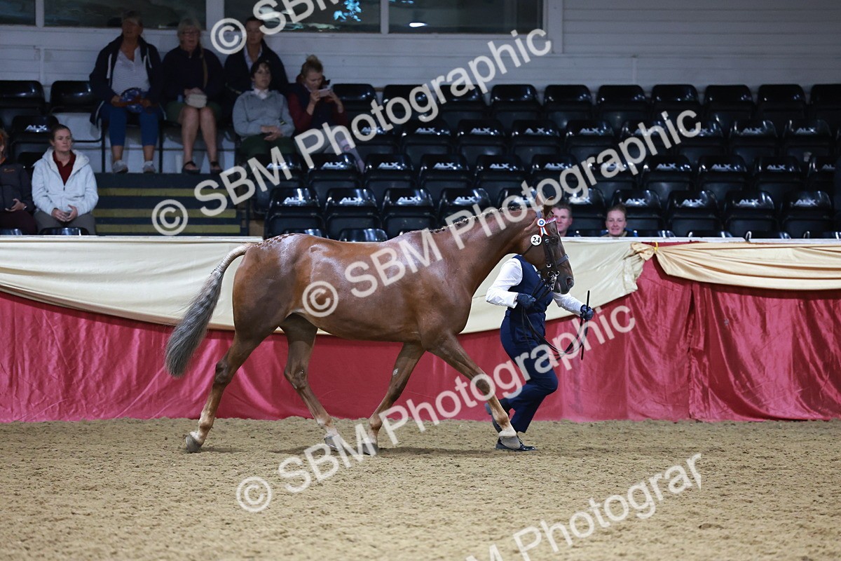 SBM_20075 - Class C - Novalty Champ