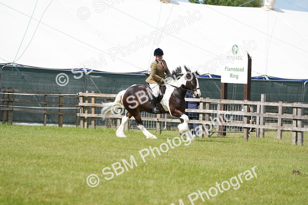 SBM_17290 - Class 107-108 - LIHS BSPS Performance Coloured Horse Pony