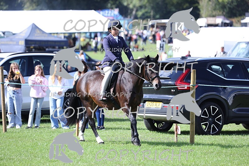 APP_3519 - Class 12 M&M ridden