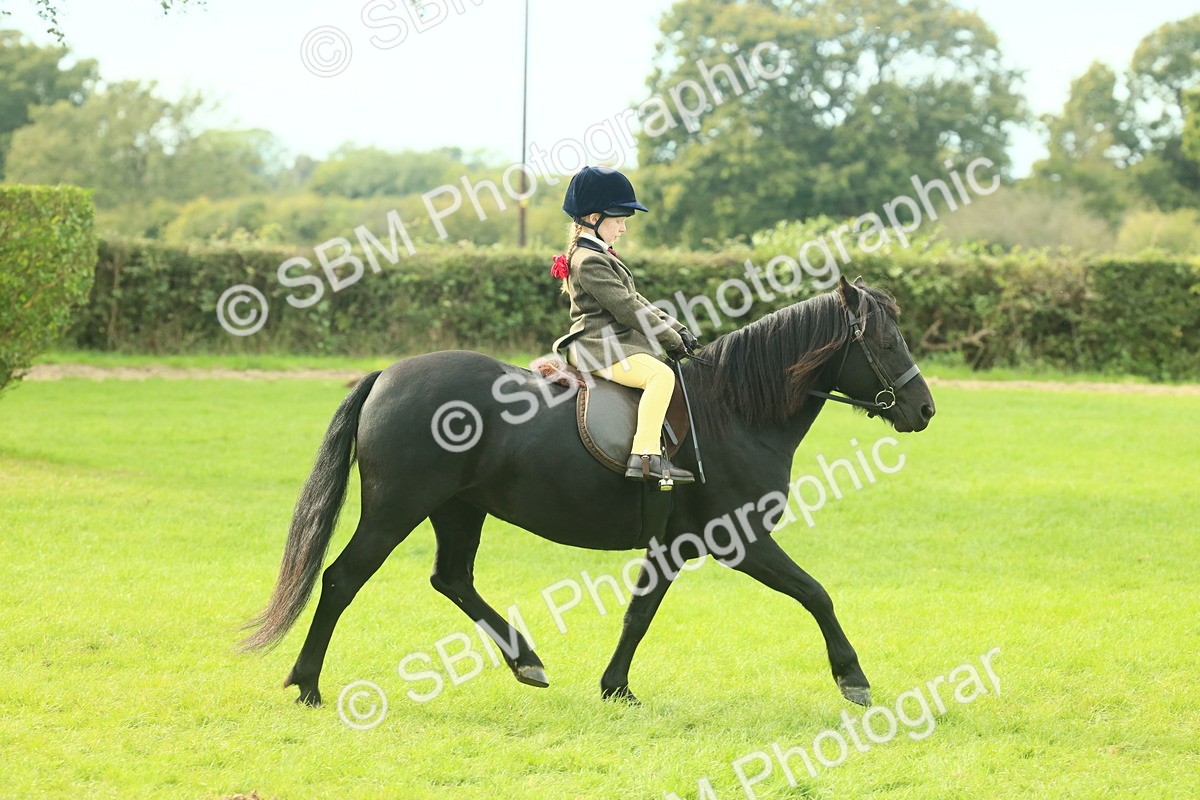 SBM_69796 - S59 - Mountain & Moorland Ridden Small Breeds