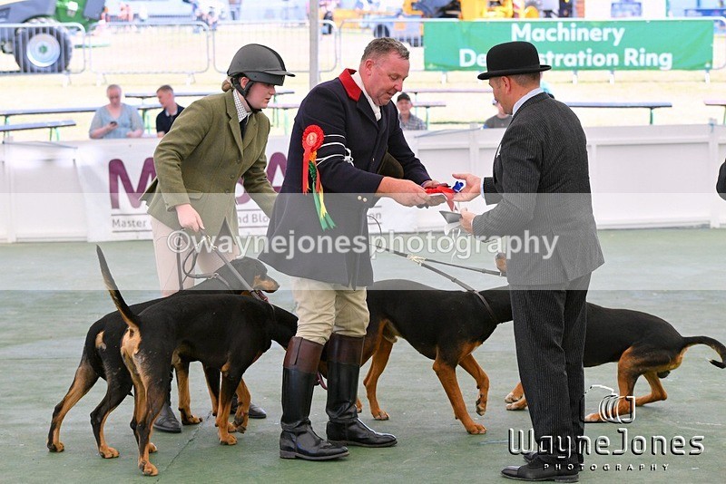WJ5_0862 - Berks & Bucks at the Great Yorkshire Show 2025