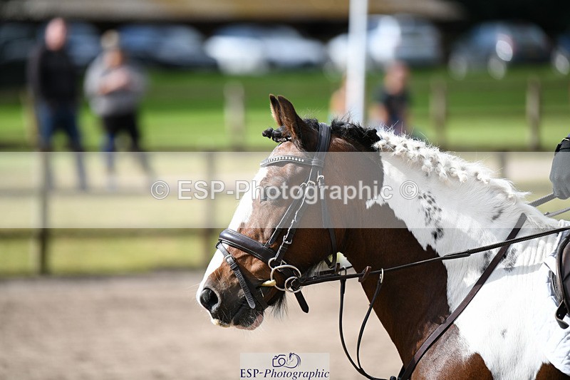 240825X-101751-30945 - 70cm SJ 9.15 to 10.21