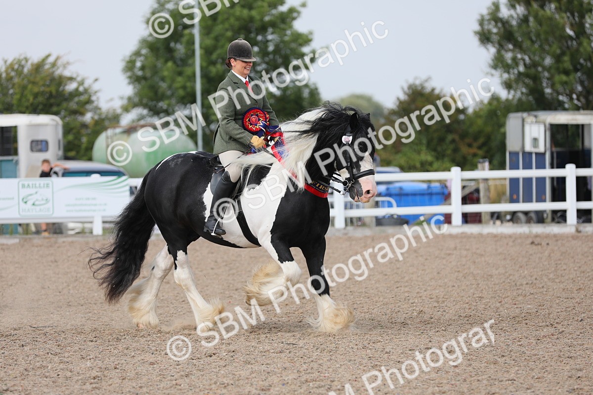 SBM_12874 - Class 307 Ridden Coloured Pony