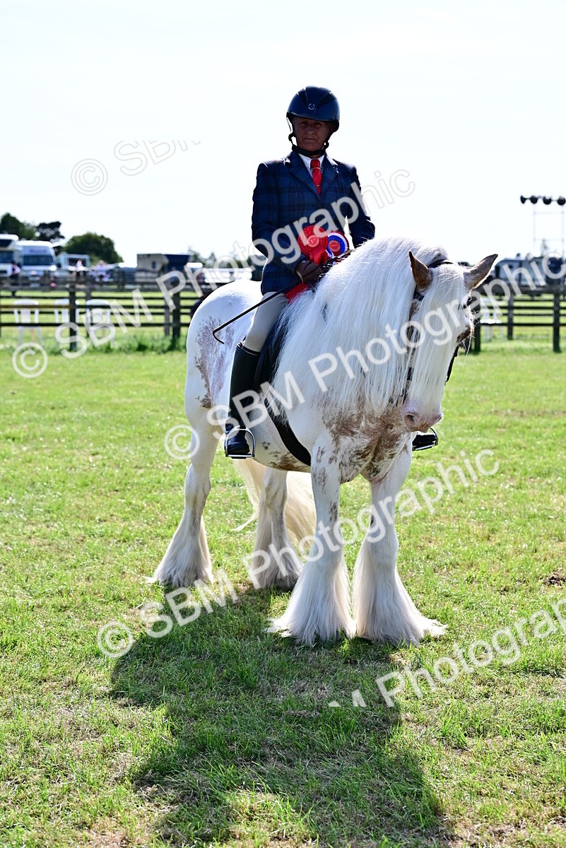 SBM_09499 - Class 63-65 - Traditional Gypsy Cobs In Hand & Ridden