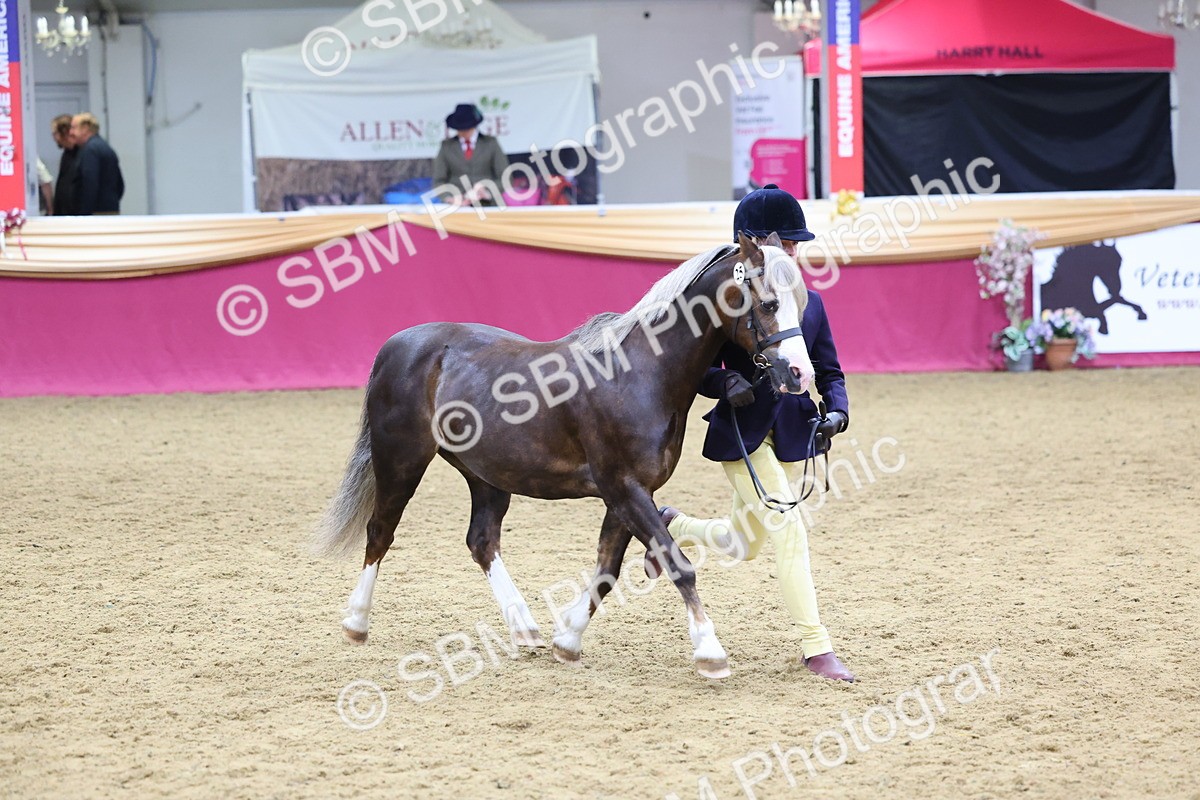 SBM_19471 - Class 901 - Supreme Final - IH Diamond