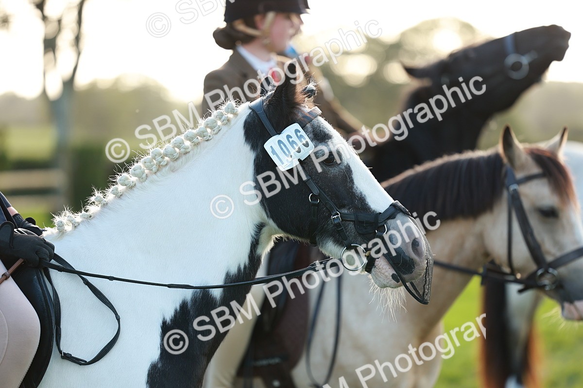 SBM_28794 - S7 - Novice & Newcomer Ridden Pony