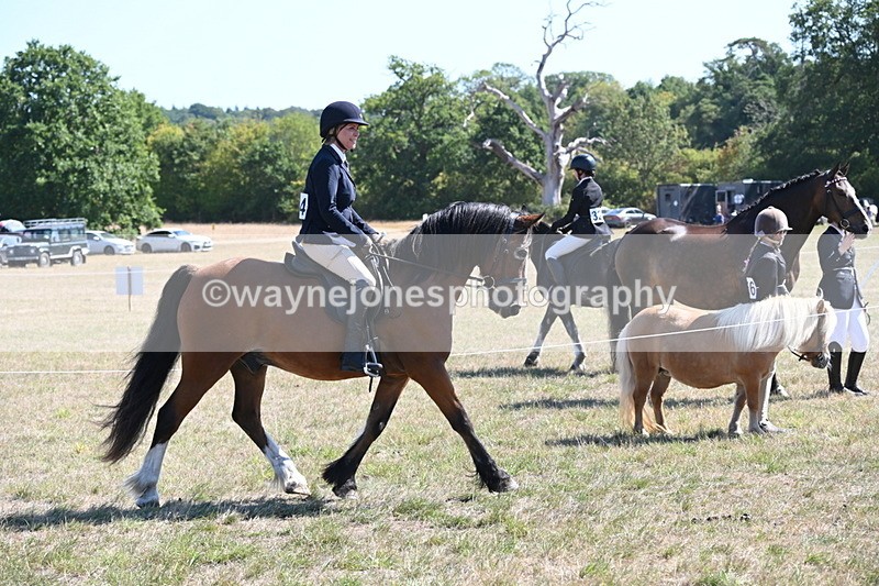 WJ6_8235 - Class 37a Best Loan Pony Ridden