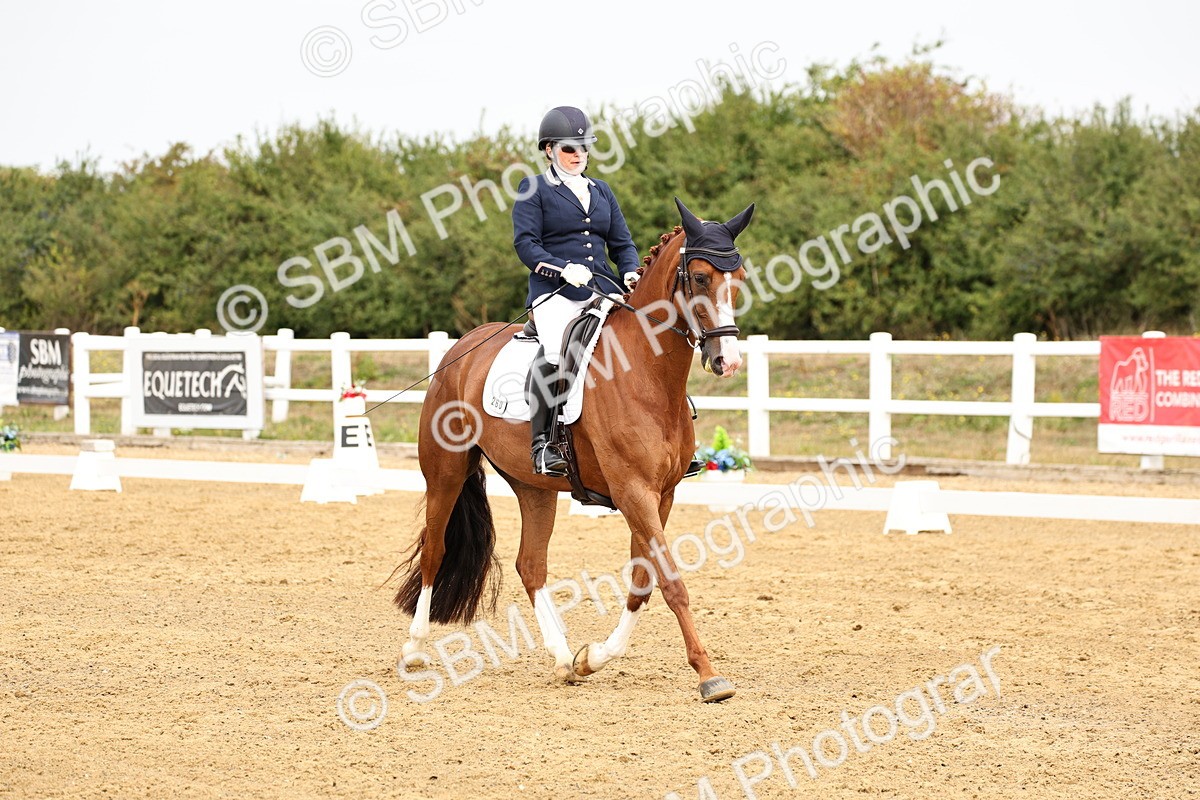 SBM_012311 - Class 2 - Prelim 5